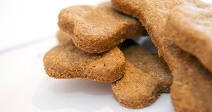 biscotti-x-cani-1