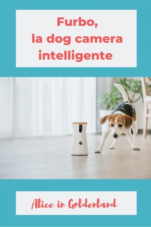 Furbo, la dog-camera intelligente dal design accattivante - ALICE IN  GOLDENLAND ASD