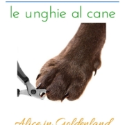 come tagliare le unghie al tuo cane