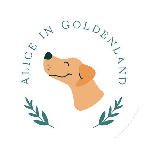 Alice in Goldenland > Allevatrice ed educatrice cinofila Golden Retriever